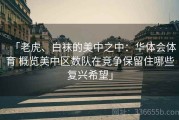 「老虎、白袜的美中之中：华体会体育 概览美中区数队在竞争保留住哪些复兴希望」