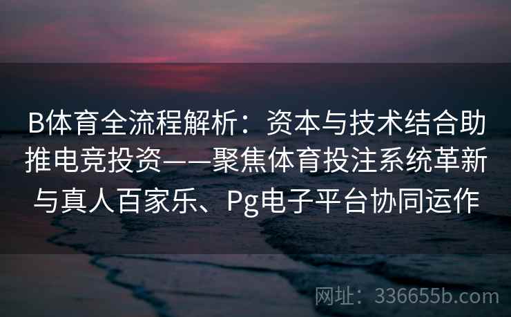 B体育全流程解析：资本与技术结合助推电竞投资——聚焦体育投注系统革新与真人百家乐、Pg电子平台协同运作