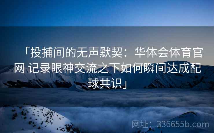 「投捕间的无声默契：华体会体育官网 记录眼神交流之下如何瞬间达成配球共识」