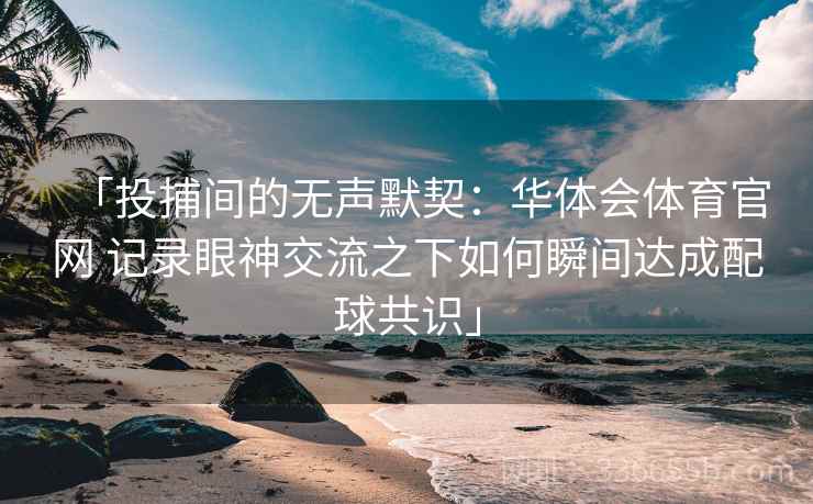 「投捕间的无声默契：华体会体育官网 记录眼神交流之下如何瞬间达成配球共识」