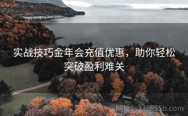实战技巧金年会充值优惠，助你轻松突破盈利难关
