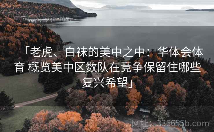 「老虎、白袜的美中之中：华体会体育 概览美中区数队在竞争保留住哪些复兴希望」