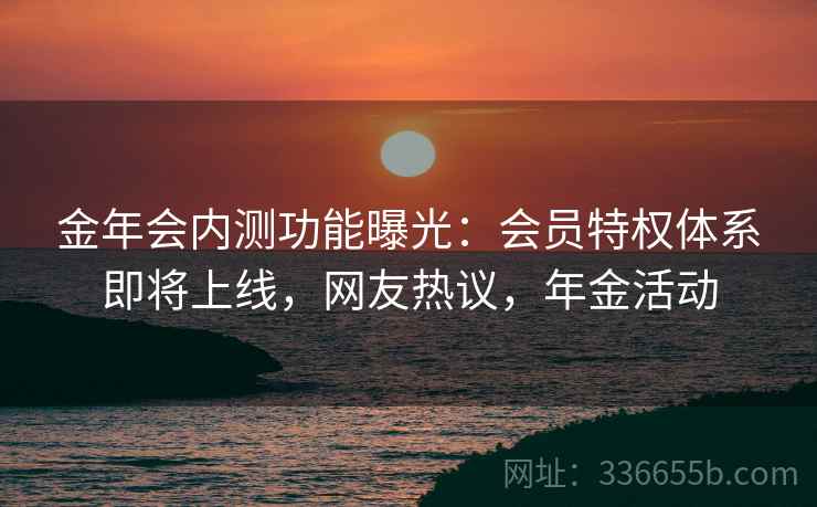 金年会内测功能曝光：会员特权体系即将上线，网友热议，年金活动